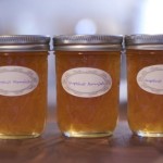 marmalade