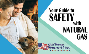 GBG safetyguide cover